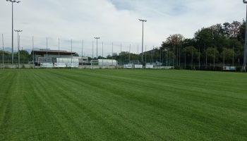 Stadio Vighenzi2