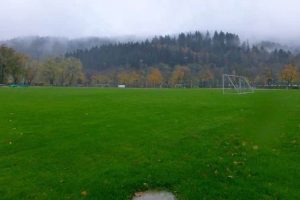 Der Trainingsplatz direkt vor dem Wald.