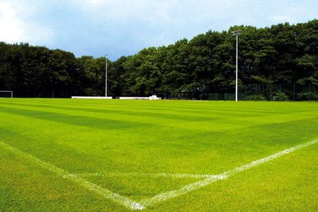 Top gepflegter Naturrasen im Trainingslager Rhein-Sieg